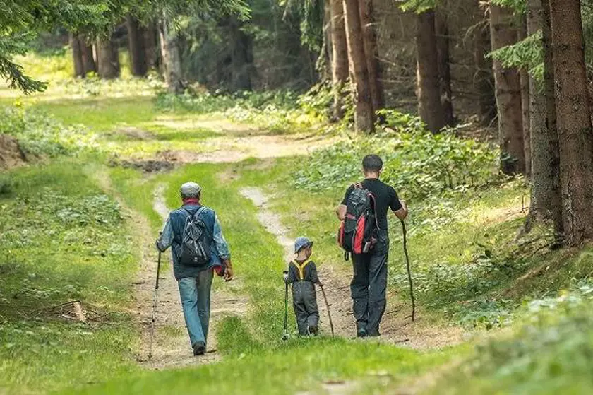 TOP 5 fotografií Objavuj les, objavuj PEFC 2019