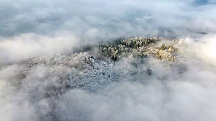 Hľadá sa PEFC fotograf roka 2021