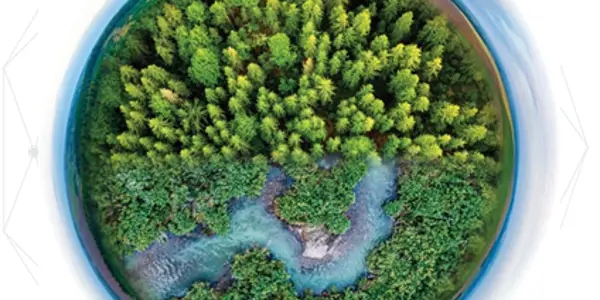 Zelená pre slovenské lesy: vznikol nový štandard udržateľného využívania lesných zdrojov 