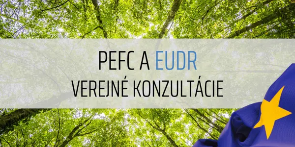 Verejné konzultácie k novému modulu PEFC EUDR DDS