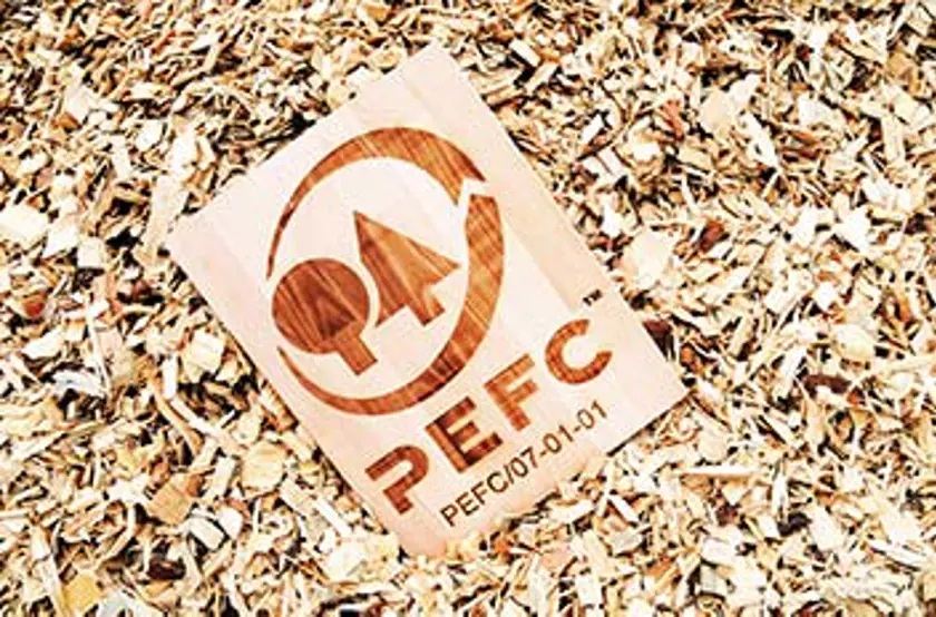 Verejné pripomienkovanie PEFC štandardov pre nákup biomasy z obnoviteľných zdrojov (RED II)