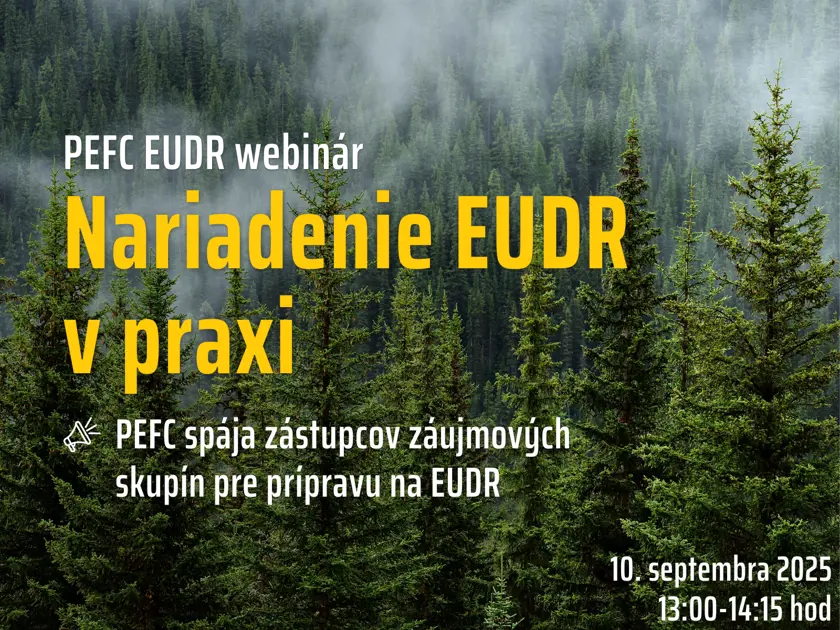 PEFC spája zástupcov záujmových skupín pre prípravu na EUDR